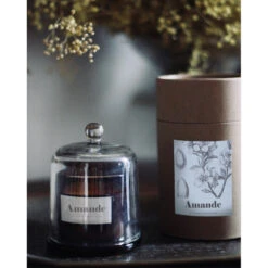 Bougie Cloche Parfum Amande -Maison Promos Magasin bougie cloche parfum amande opjet.2dxl0s.max
