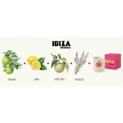 Assouline Bougie Ibiza Bohemia -Maison Promos Magasin bougie ibiza bohemia assouline.chfdc9 .max