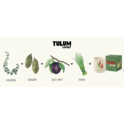 Assouline Bougie Tulum Gypset -Maison Promos Magasin bougie tulum gypset assouline.zzvg4q.max