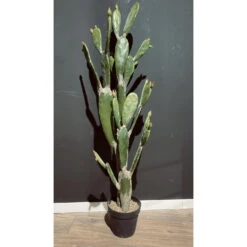 Maison Promos Magasin -Maison Promos Magasin cactus en pot 143 cm jasaco.p1xl08.max