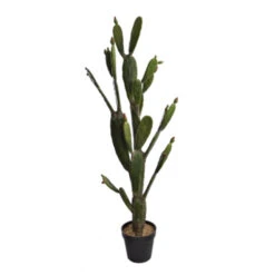Cactus En Pot (143 Cm)