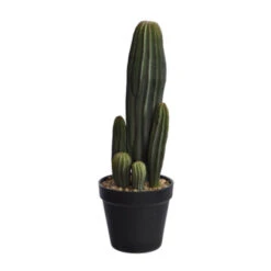Cactus En Pot (37 Cm)