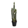 Cactus En Pot (61 Cm)
