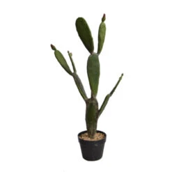 Cactus En Pot (84 Cm)