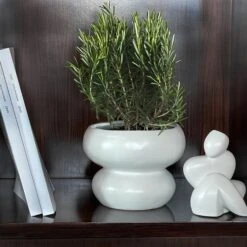 Coupe Céramique Organic -Maison Promos Magasin coupe ceramique organic opjet.vzm4z7.max