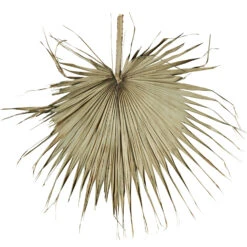 Madam Stoltz Feuille De Palmier