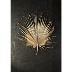 Madam Stoltz Feuille De Palmier 8 Madam Stoltz Feuille De Palmier -Maison Promos Magasin feuille de palmier madam stoltz.v91hkc.max