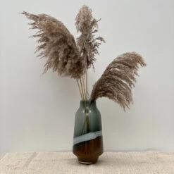 Maison Promos Magasin -Maison Promos Magasin fleurs de pampa 3 branches grises 117 cm opjet.h9lg25.max