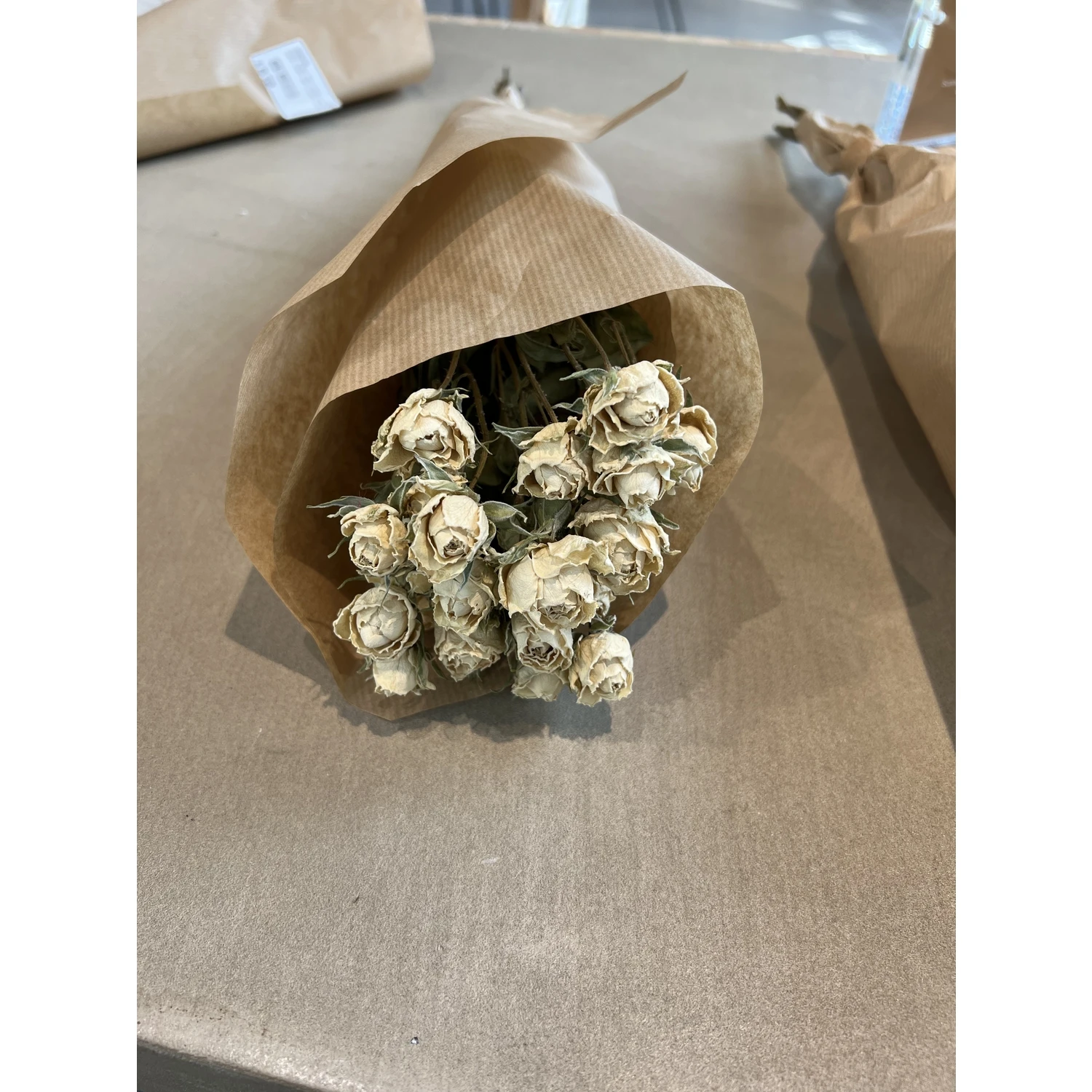 Fleurs Roses Spray - Natural White 2 Fleurs Roses Spray - Natural White – Image 2