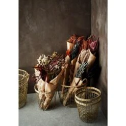 Madam Stoltz Fleurs Séchées Naturelles (50 Cm) -Maison Promos Magasin fleurs sechees naturelles 50 cm madam stoltz.fl2m2b.max