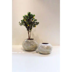 WOOM Pot Mengwi -Maison Promos Magasin pot mengwi woom.vftthl.max