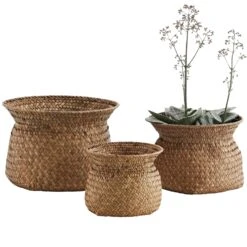 Madam Stoltz Set De 3 Paniers Tressés