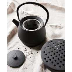 Nicolas Vahé Théière Cast Noir 6 Nicolas Vahé Théière Cast Noir -Maison Promos Magasin theiere cast noir nicolas vahe.m2pfj4.max