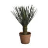 Yucca En Pot (48 Cm)
