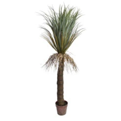 Yucca Sauvage (152 Cm)