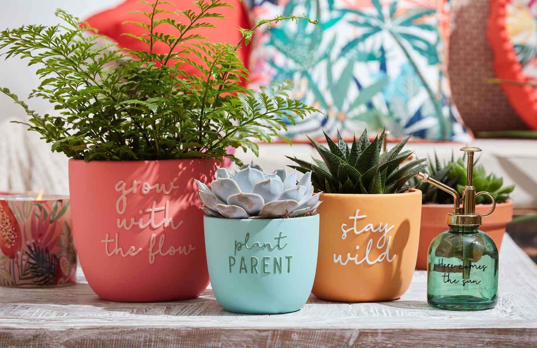 Maison Promos Magasin -Maison Promos Magasin super bloom pots and planters bm